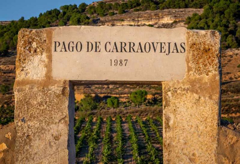 Pago de Carraovejas